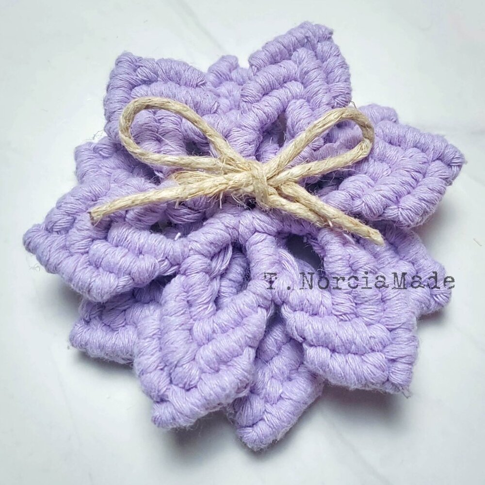 Grapealicious Macrame 2pc Coaster Set